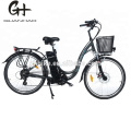 Green 250W Electric Bike